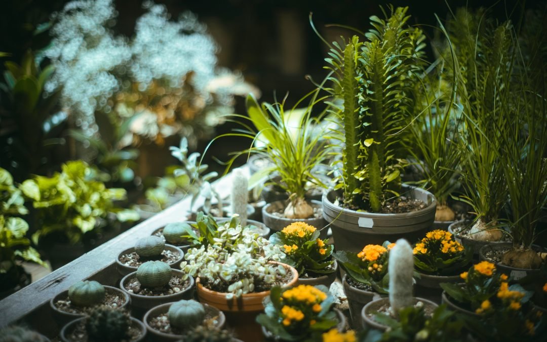 garden room ideas