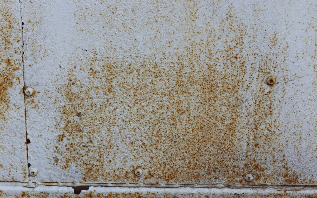 Stain and mold treatment