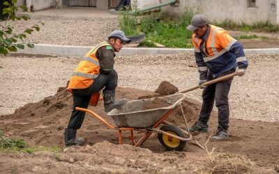 Professional Full-Service Landscaping Contractor LLC: The Smart Way to Transform Your Outdoor Space